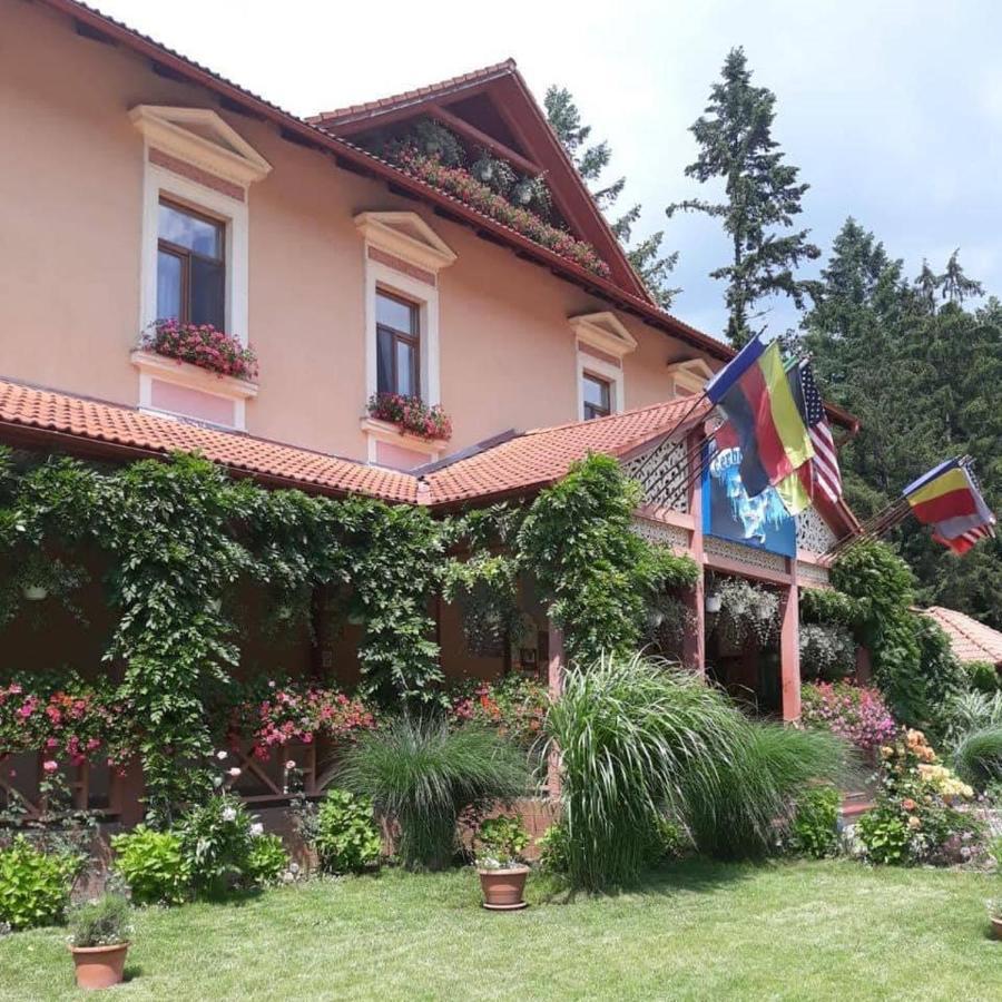 Vila Cerbul Albastru Hotel Moneasa Exterior foto